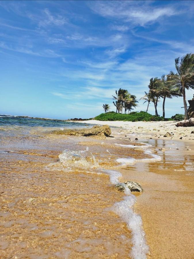 Vive Utila - Villa Esterno foto