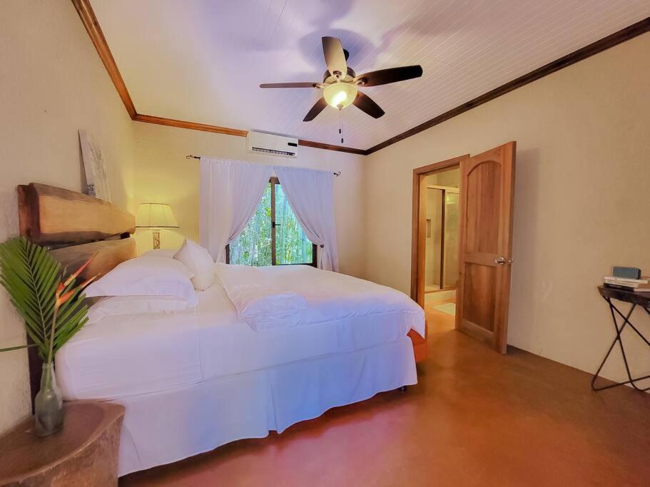Vive Utila - Villa Esterno foto