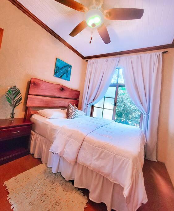 Vive Utila - Villa Esterno foto