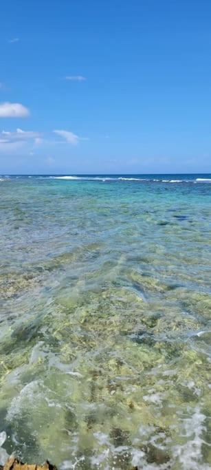 Vive Utila - Villa Esterno foto