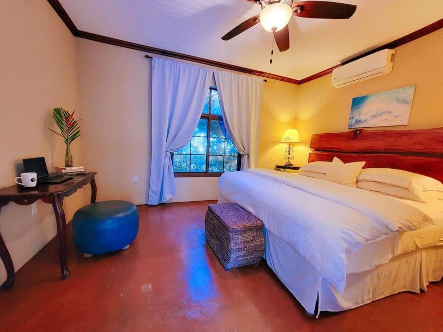 Vive Utila - Villa Esterno foto